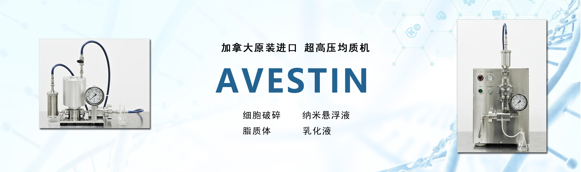 上海研格思生物科技有限公司